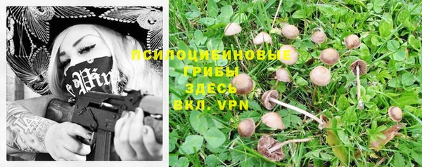 прущая мука Кукмор