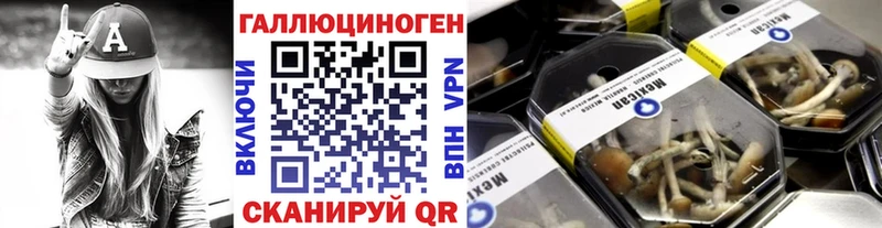 Купить где  Таганрог  Псилоцибиновые грибы GOLDEN TEACHER 